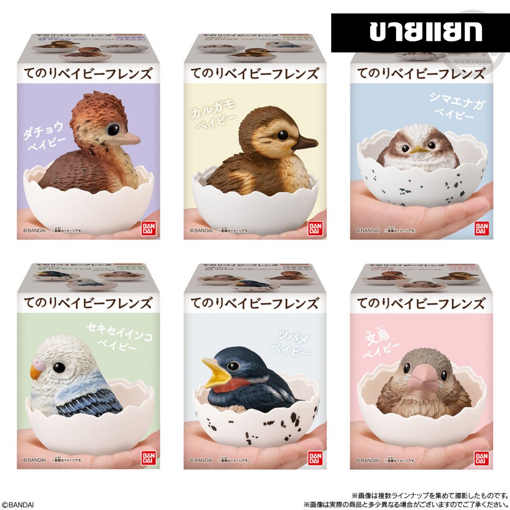 Bandai Tenori Handheld Baby Friends โมเดลสัตว์ โมเดลนก น่ารัก Bird Model Figure ลิขสิทธิ์แท้ โมเดล ตกแต่ง