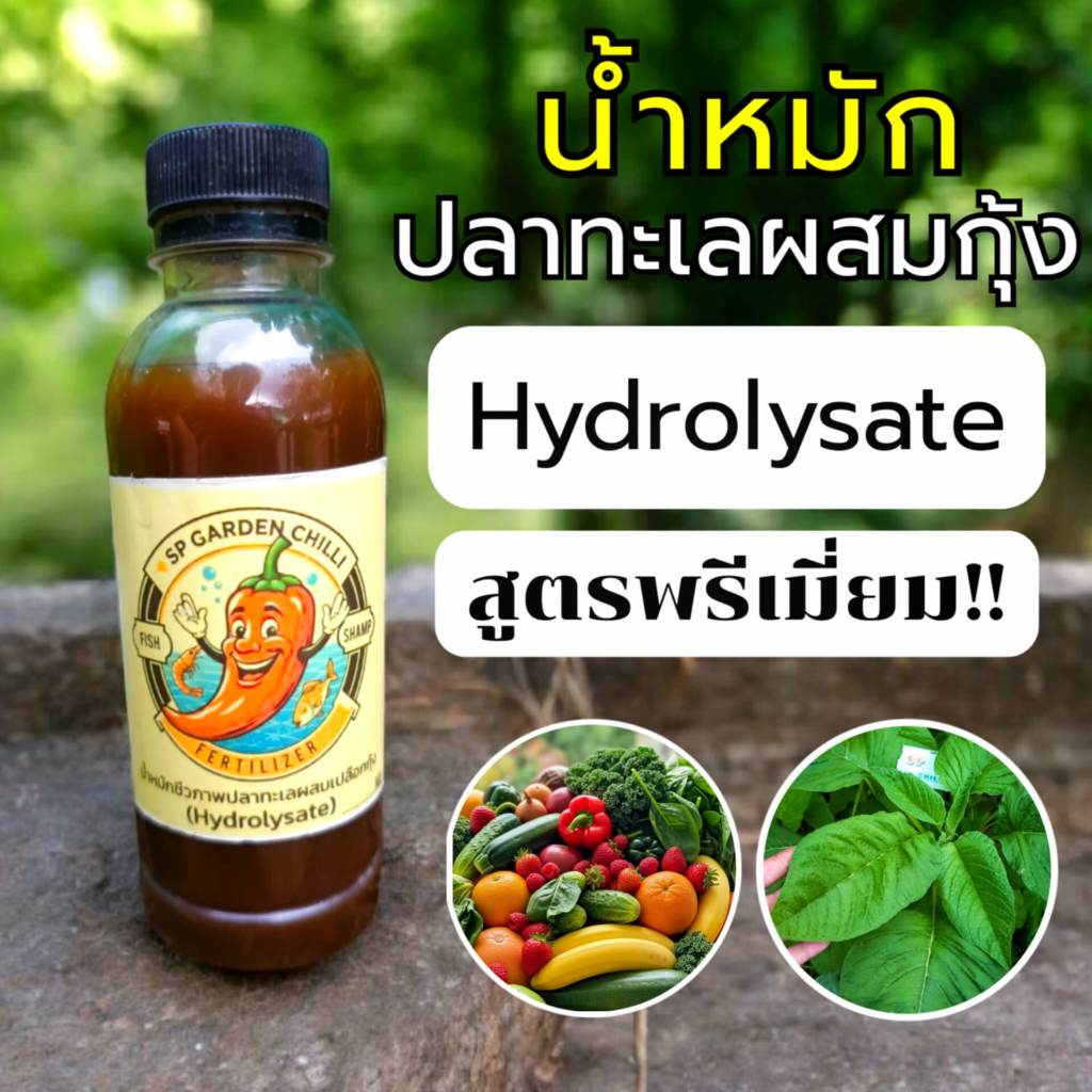 ผลดกเต็มต้น‼️น้ำหมักปลาทะเลผสมเปลือกกุ้งไฮโดรไลเซท(hydrolysate)สูตรพรีเมี่ยม👍