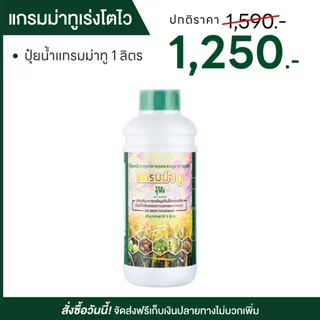 แกรมม่าทู Gramma 2 ปุ๋ยน้ำ 1 ลิตร ครบทุกธาตุอาหาร ของแท้จากบริษัท ส่งทุกวัน