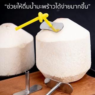 Marino Home ที่เจาะรูมะพร้าว อุปกรณ์เจาะรูมะพร้าว สแตนเลส No.Y2285