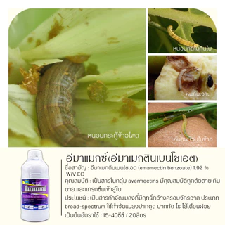 อีมาแมกซ์ 1ลิตร (อีมาเมกตินเบนโซเอต) ใช้ป้องกันกำจัดเพลี้ยไฟในฝ้ายกล้วยไม้เท่านั้น