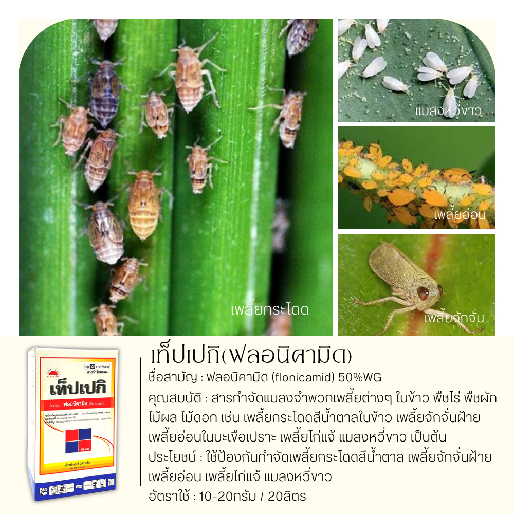 เท็ปเปกิ 250กรัม (ฟลอนิคามิด) กำจัดแมลงจำพวกเพลี้ยต่างๆในข้าว พืชไร่ พืชผัก ไม้ผล ไม้ดอก รูปที่ 4