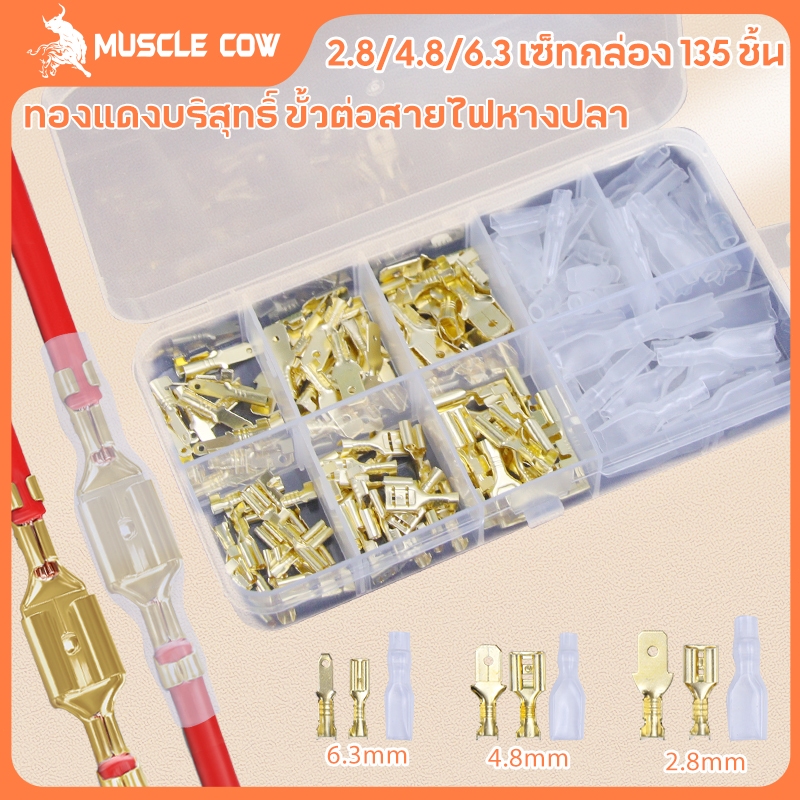 MUSCLE COW ขั้วต่อสปริงขนาด 2.8/4.8/6.3 มม. ขั้วต่อสายไฟแบบถอดได้และเสียบได้ ทำจากทองแดง พร้อมกล่องบรรจ