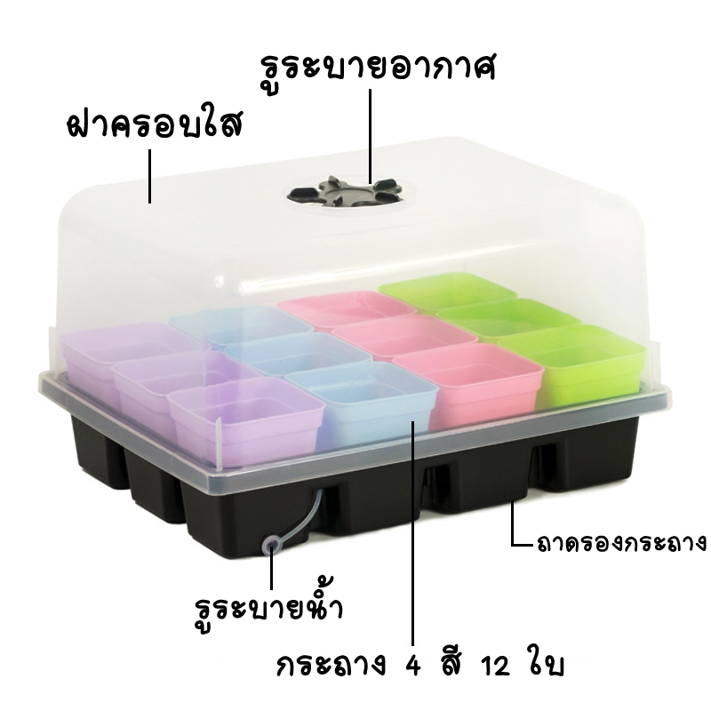 ชุดกล่องเพาะเมล็ด 12 กระถาง Seed Starter Tray ราคา ถูกที่สุด ดีลบีเคเค แกลเลอรีภาพที่ 3