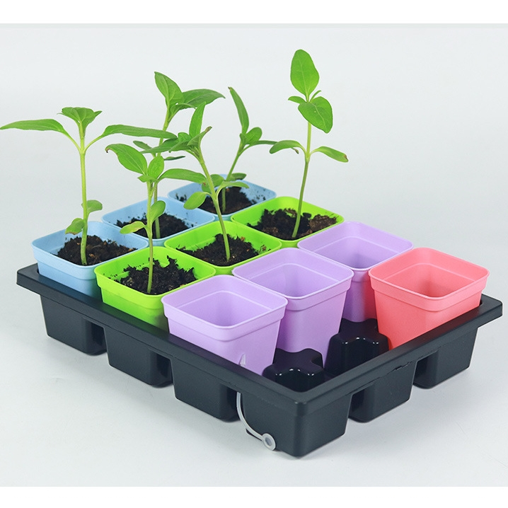 ชุดกล่องเพาะเมล็ด 12 กระถาง Seed Starter Tray ราคา ถูกที่สุด ดีลบีเคเค แกลเลอรีภาพที่ 4