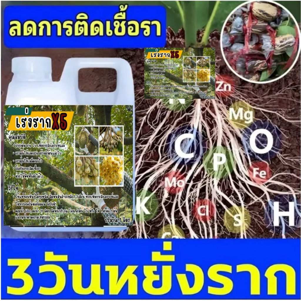 น้ำยาเร่งราก x5 ฉลากเขียว 1ลิตร ของใหม่
