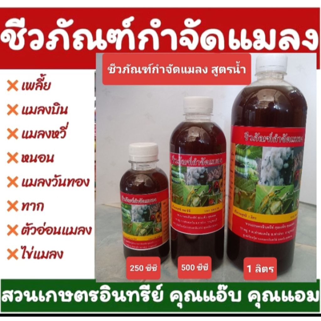 ชีวภัณฑ์กำจัดแมลง 250cc. สูตรน้ำ สกัดจากสมุนไพรมีฤทธิ์กำจัดแมลง ตัวอ่อน ไข่แมลงและไล่แมลงทุกชนิด แมลงวันทองเจาะผลไม้ ทาก