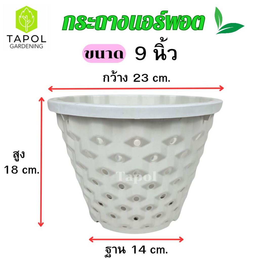 กระถางแอร์พอต ขนาด 9 นิ้ว / 12 นิ้ว กระถางระบายน้ำได้ดี รากแข็งแรง รากไม่เน่า พลาสติกคุณภาพดี ทนทาน น้ำหนักเบา ราคา ถูกที่สุด ดีลบีเคเค แกลเลอรีภาพที่ 3