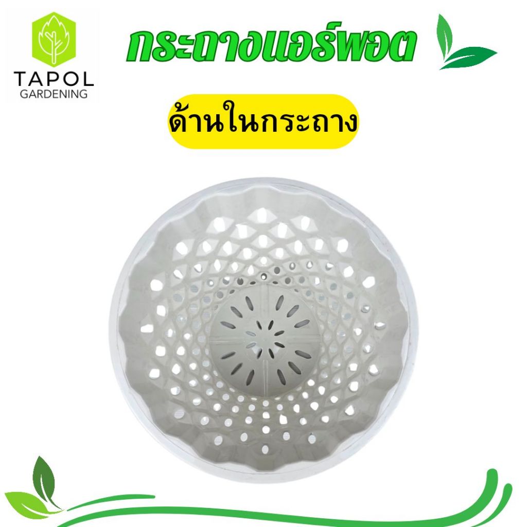 กระถางแอร์พอต ขนาด 9 นิ้ว / 12 นิ้ว กระถางระบายน้ำได้ดี รากแข็งแรง รากไม่เน่า พลาสติกคุณภาพดี ทนทาน น้ำหนักเบา ราคา ถูกที่สุด ดีลบีเคเค แกลเลอรีภาพที่ 9