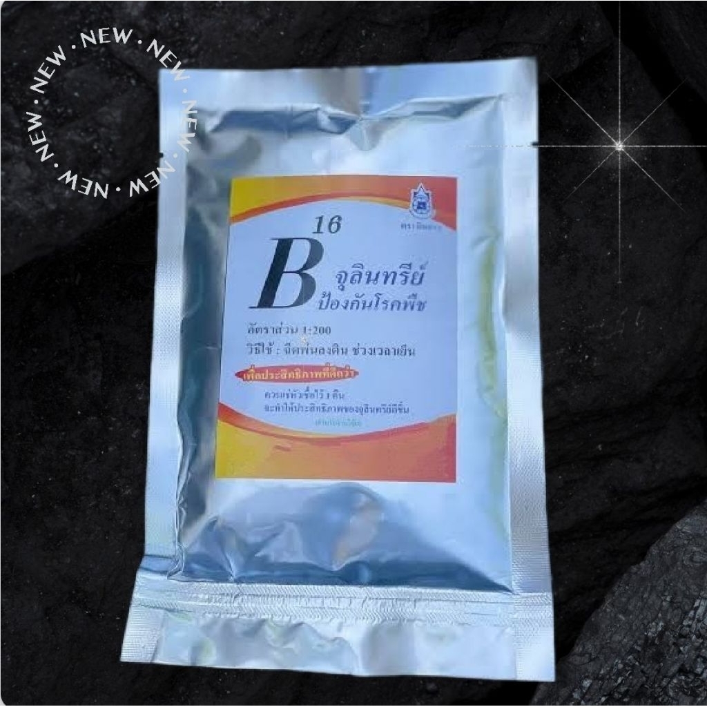 B16 เอนโดไฟต์ แท้100% จากผู้ผลิต [ แพ็คเกจใหม่ ชื่อ AM จุลินทรีย์ยอดขยัน ] ไมคอไรซ่า หัวเชื้อจาวปลวก