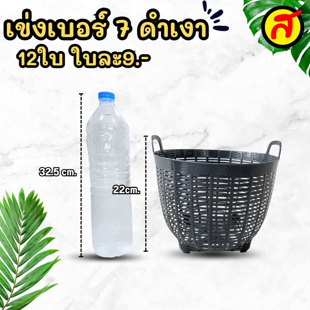 รูปภาพ 3