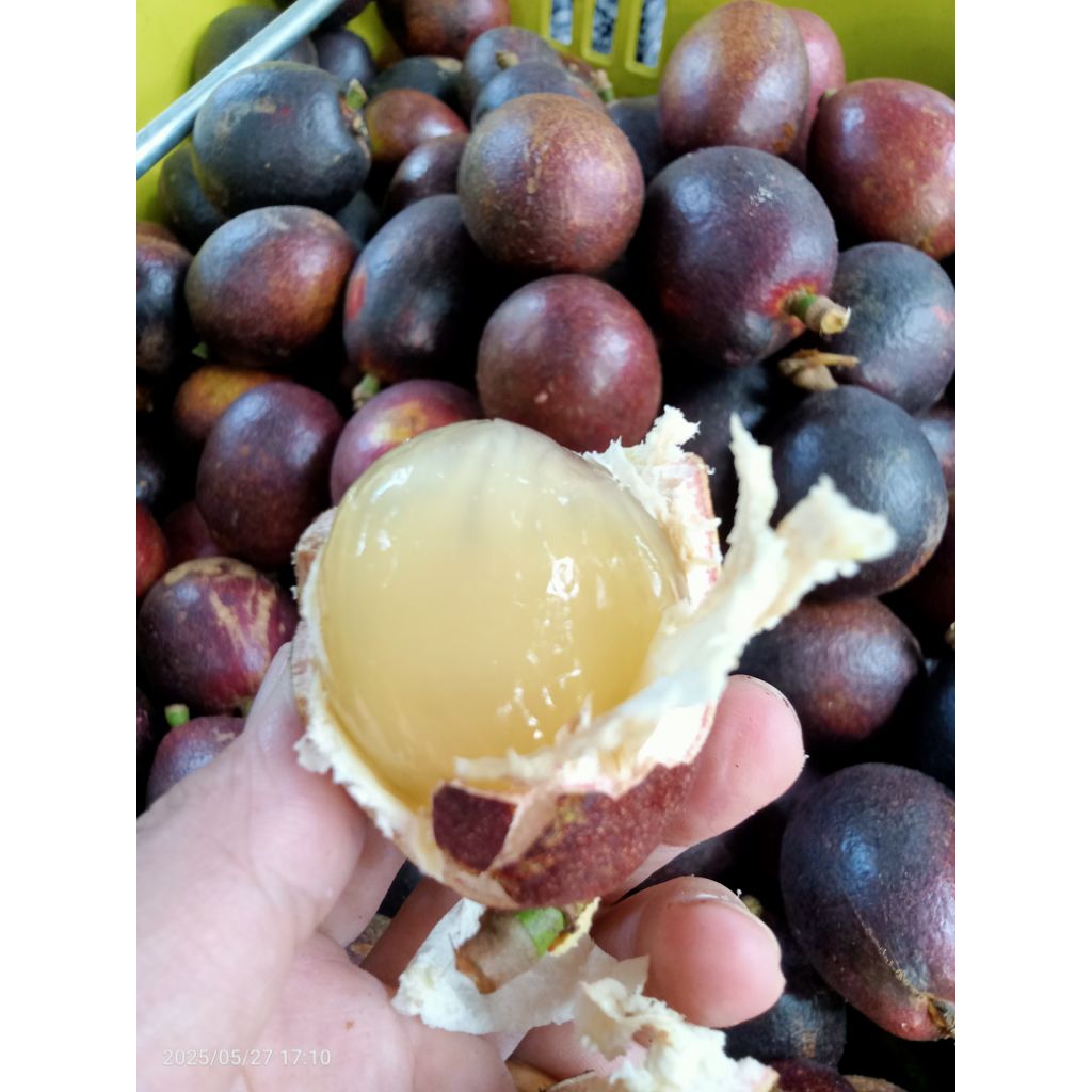 ลำใยคริสตัลสีม่วง ขนาด 500กรัม
