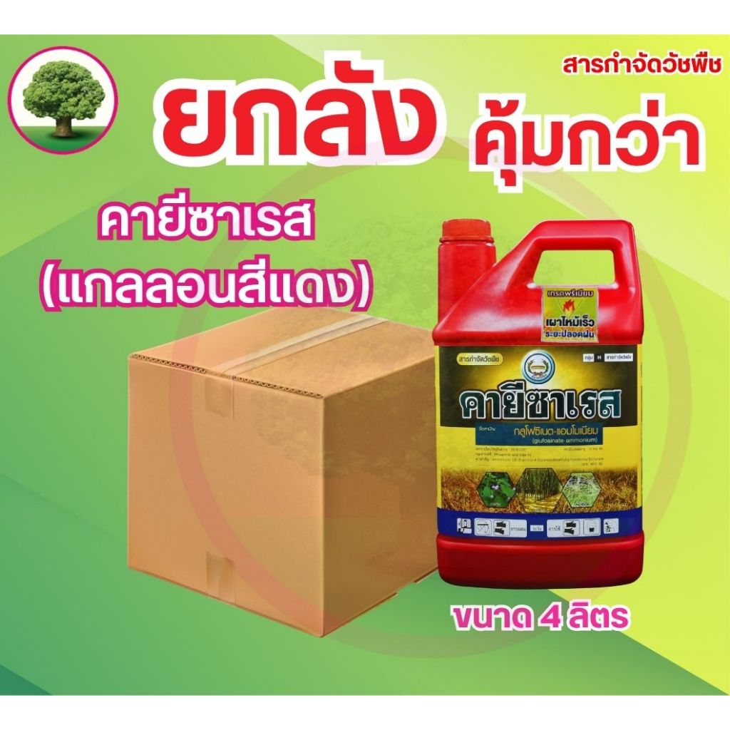 คายีซาเรส (แดง-ยกลัง) หวีทอง ขนาด 4 ลิตร
