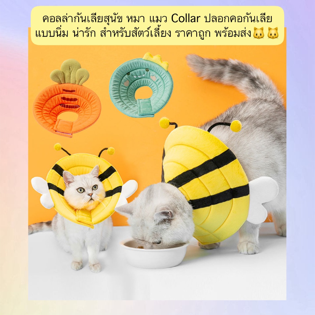 AL-1300 คอลล่ากันเลียสุนัข หมา แมว Collar ปลอกคอกันเลีย แบบนิ่ม น่ารัก สำหรับสัตว์เลี้ยง ราคาถูก พร้อมส่ง🐱🐱