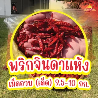 พริกแห้ง จินดา (เด็ด) 9.5-10 กก. เม็ดอวบ ทำน้ำพริก ทำพริกแกง ทำพริกป่น และ อาหารอื่นๆ