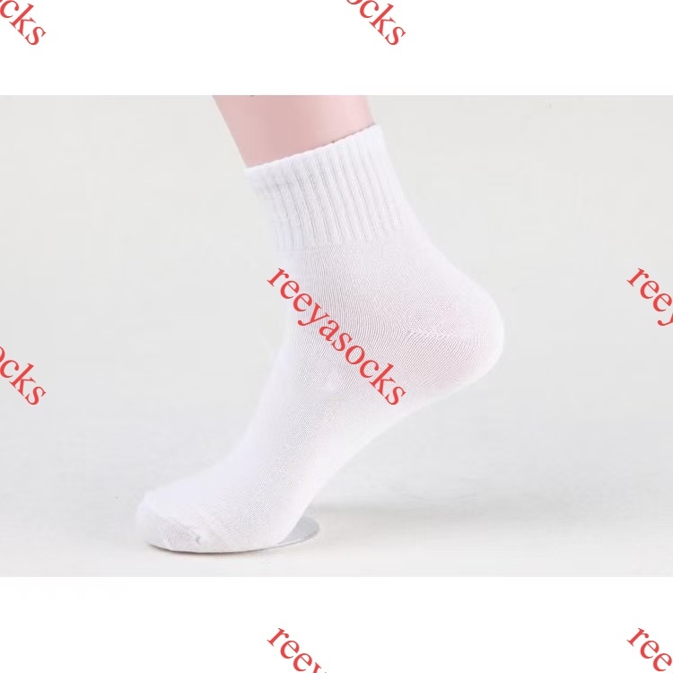 รูปภาพ 8