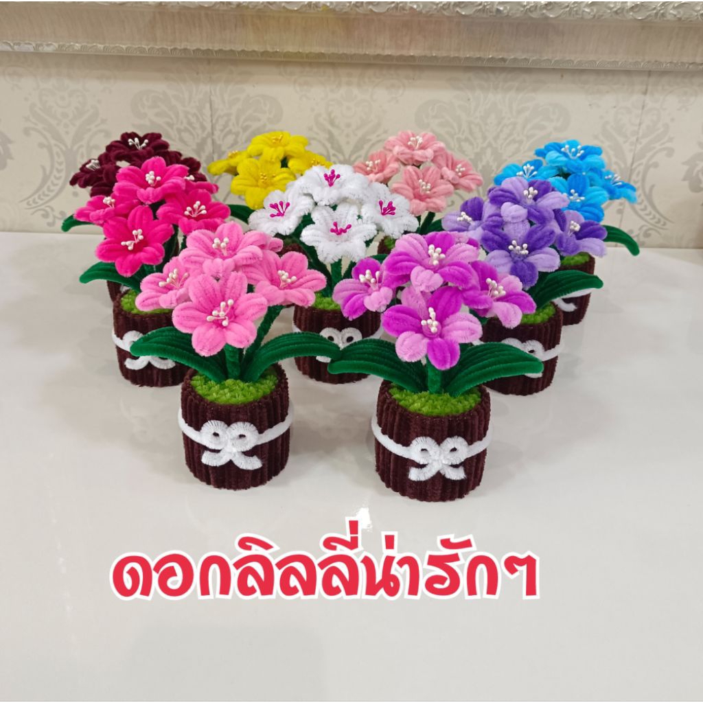 กระถางดอกไม้สวยๆ สีสันสดใส ของขวัญ ของตกแต่ง