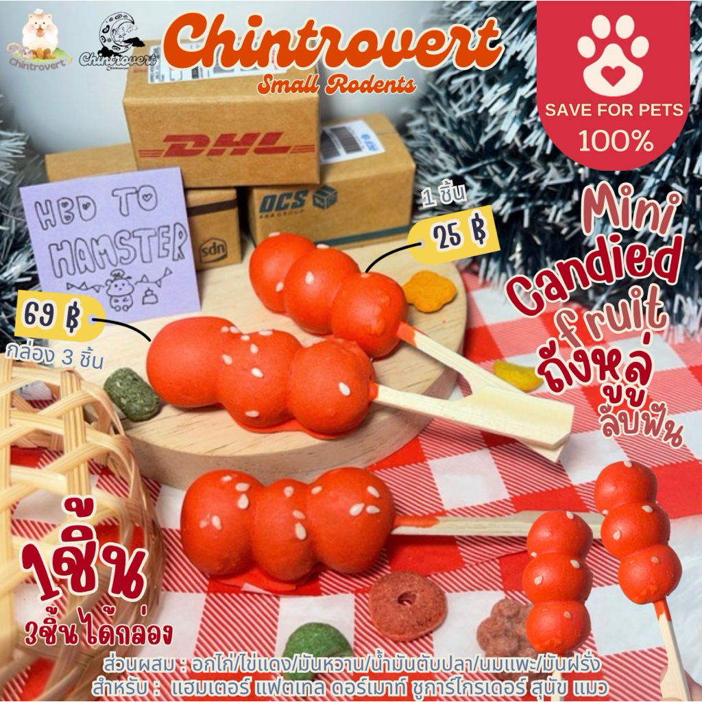 Chintrovert ✨| Candied Fruit treats ถังหูลู่ลับฟัน 🍡 1ชิ้น | แฮมเตอร์ แฟตเทล ดอร์เมาท์ ชูการ์ไกรเดอร์