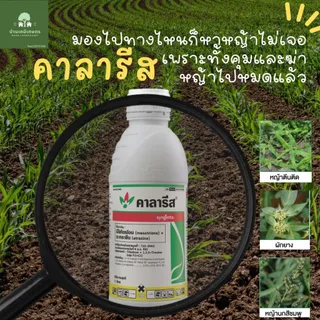 คาลารีส ยาฆ่าหญ้าในไร่ข้าวโพด 1L