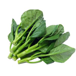 เมล็ดพันธุ์คะน้าใบ สำหรับปลูก 500-12000 เมล็ด (10 แถม1 )สดให…