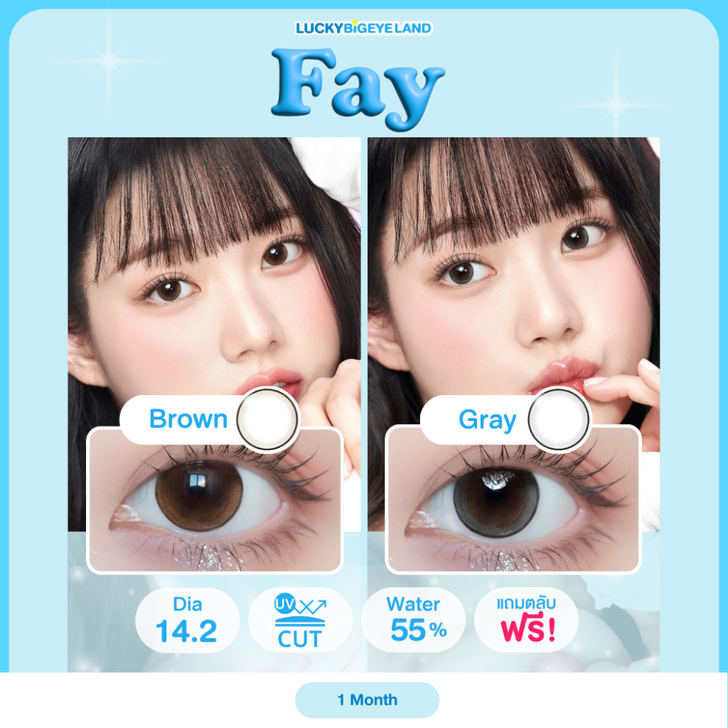 คอนแทคเลนส์ Fay Brown / Gray (Kitty Kawaii) ขนาดมินิ 💙