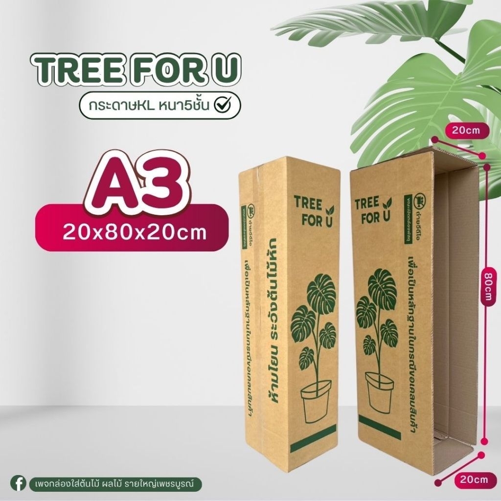 กล่องใส่ต้นไม้ A3(KL)พิมพ์Tree for u แพ็คละ10ใบ กระดาษKLขนาด 20×80×20cm ไม่เจาะรู สินค้าขายดี