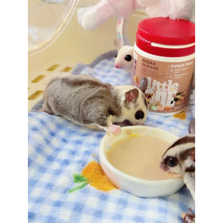 อาหารชูการ์ไกลเดอร์ Little one