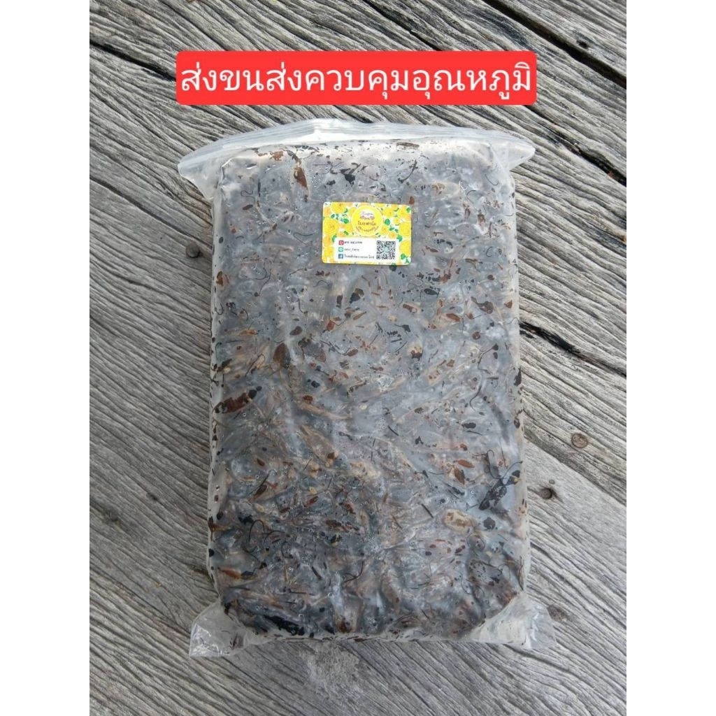 จิ้งหรีดแช่แข็ง ไม่ใส่เกลือ จัดส่งห้องเย็น