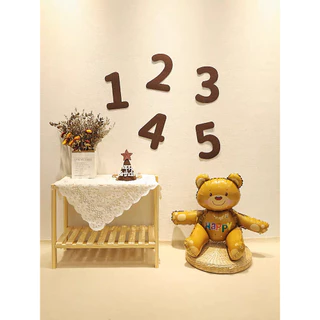 [ส่งด่วน] ป้ายตัวเลข ตัวเลขผ้า ป้ายอายุ ขนาด 24 cm