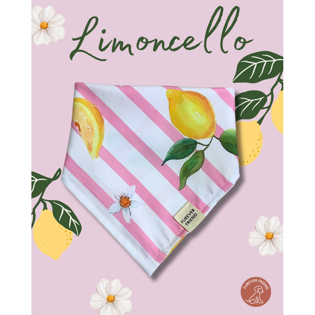 ผ้าพันคอสัตว์เลี้ยง ลาย Limincello