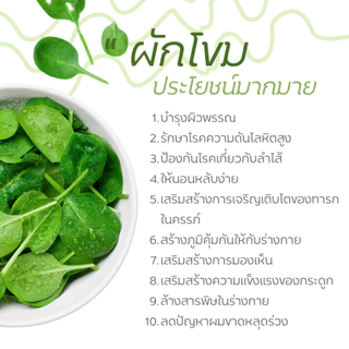ผงผักโขม ออร์แกนิค ขนาด 100 กรัม ( Organic Spinach Powder )