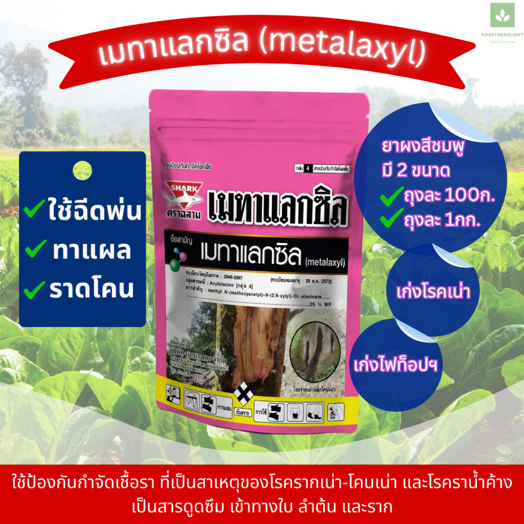 มี 2ขนาดให้เลือก เมทาแลกซิล ตราฉลาม ป้องกันเชื้อรา โรคเน่า โรคราน้ำค้าง ไฟทอป metalaxyl
