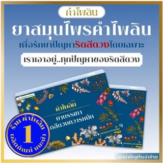 (แนะนำ) ตราคำไพลิน Khampailin (ริดสีดวง) ผลิตภัณฑ์ดูแล ฟื้นฟู ริดสีดวงทุกระยะ ริดสีดวงภายนอกภายใน ระบบขับถ่ายที่ดี