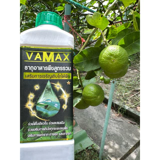 โปรสุดคุ้มชุด 6 แถม 6 แถมเสื้อปุ๋ยฟรี (ปุ๋ยธาตุรวม VAMAX + CABMAXแคลเซียมโบรอน) ปลอดภัยขึ้นทะเบียนอย่างถูกต้อง