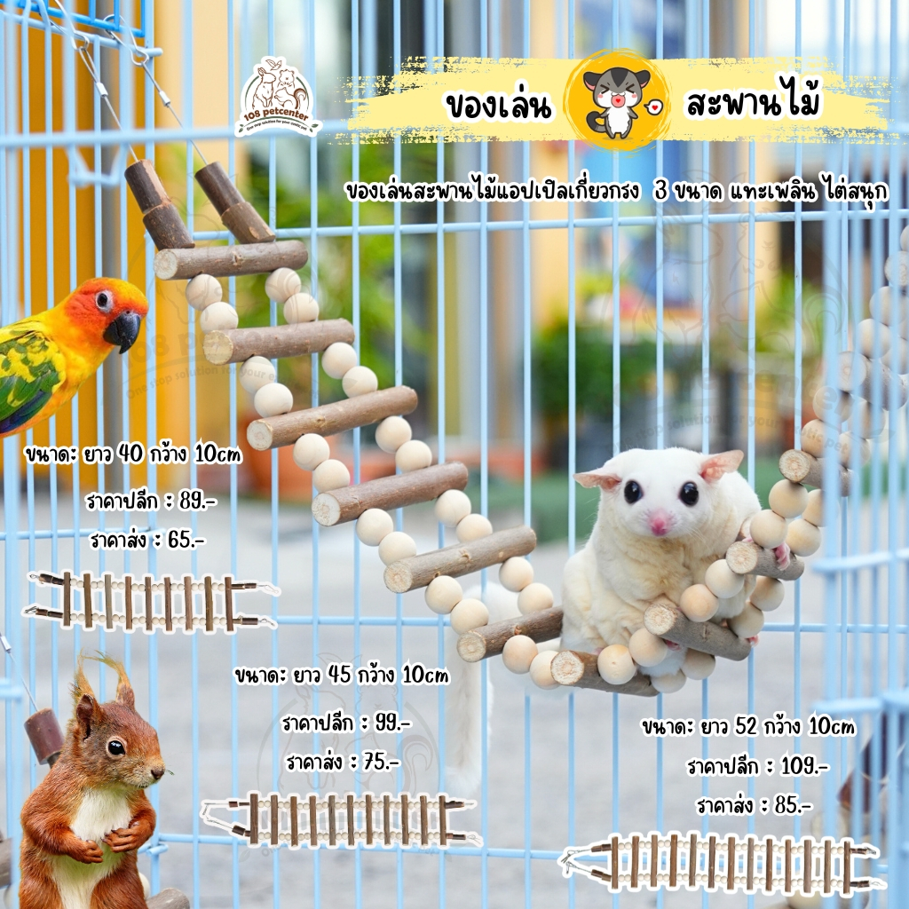 ของเล่นชูก้าร์ไกลเดอร์ กระรอก นกแก้วขนาดเล็ก ของเล่นนกแก้ว สะพานแขวนกรง 3 ขนาด ของเล่นสัตว์เล็ก