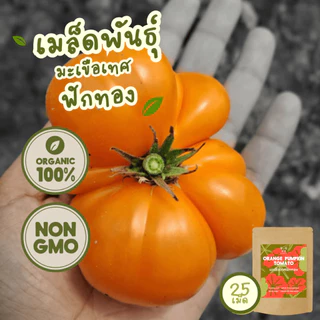 เมล็ดพันธุ์ มะเขือเทศ 100%ออร์แกนิค Non-GMO เกรดพรีเมี่ยม (Organic Tomato Seeds) [ซื้อ 5 แถม 1!]