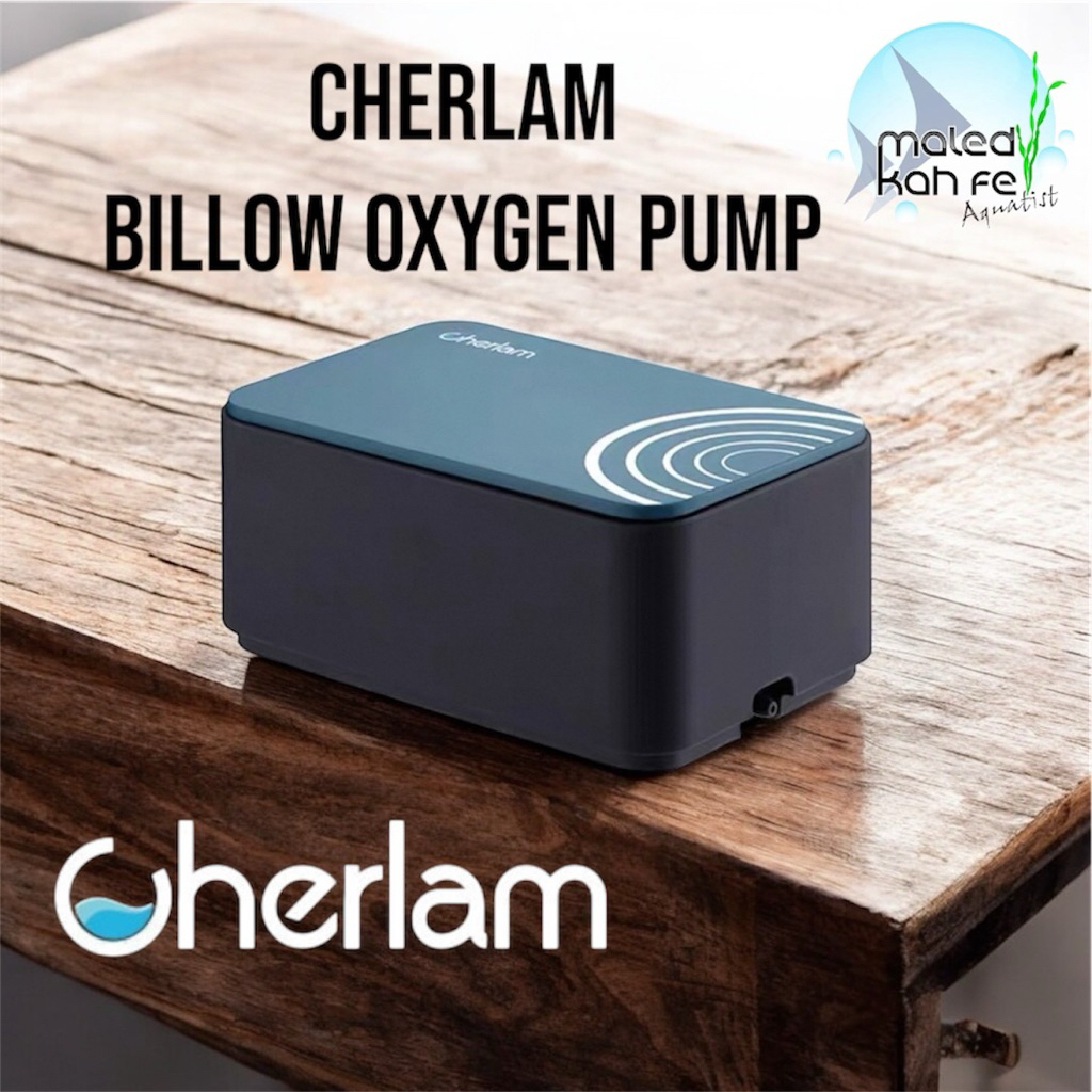 (แท้จากตัวแทน) Cherlam Billow Oxygen Air Pump รุ่น BLQ - 002 005 008 ปั๊มลม เงียบ ออกซิเจน ตู้ปลา ประหยัดพลังงาน 2 5 8 W