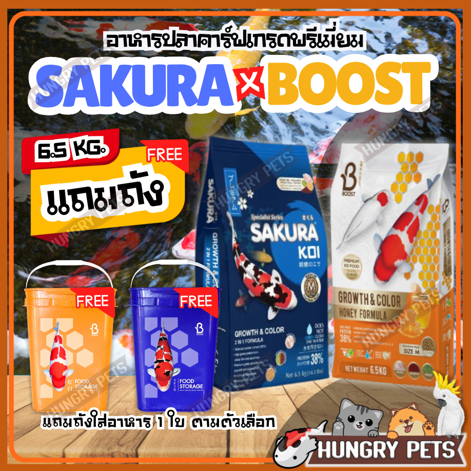 📌โปรแถมถัง💥ทุกสูตร[🐝Sakura x Boost]🍯อาหารปลาคาร์ฟ Sakura Koi & Boost Koi ขนาด 4 กก. และ 6.5 กก.