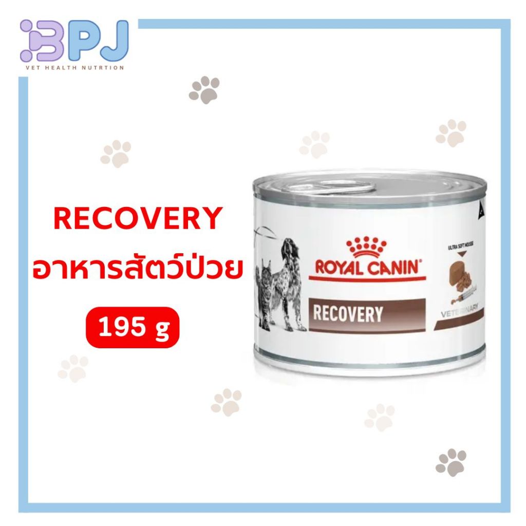 Royal Recovery อาหารสุนัขและแมวประกอบการรักษา สำหรับระยะพักฟื้นและการดูแลหลังผ่าตัด ชนิดเปียก (ขนาด 195 กรัม)