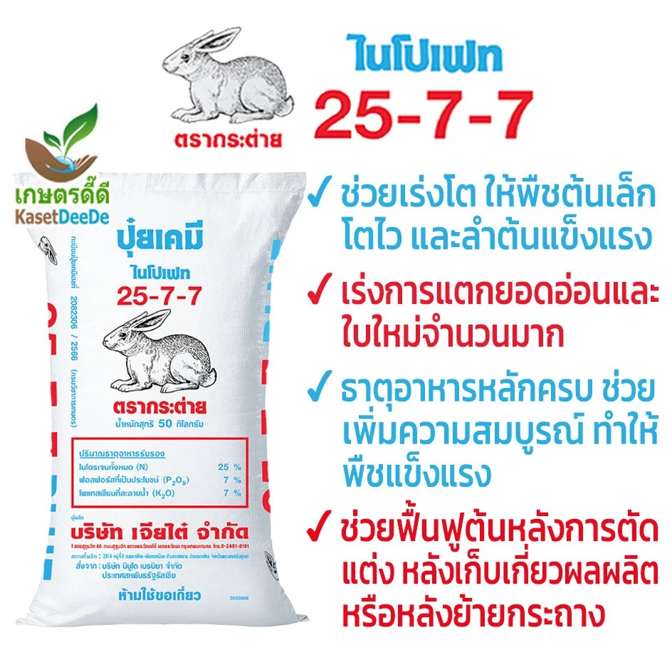 ปุ๋ย 25-7-7 เร่งโต เขียวไว แตกใบดี ยอดพุ่ง ต้นสมบูรณ์ แก้โทรม ฟื้นฟูต้น ต้องสูตรนี้ ชัวร์ เด๊ะ เด๊ะ👍 300G/1KG