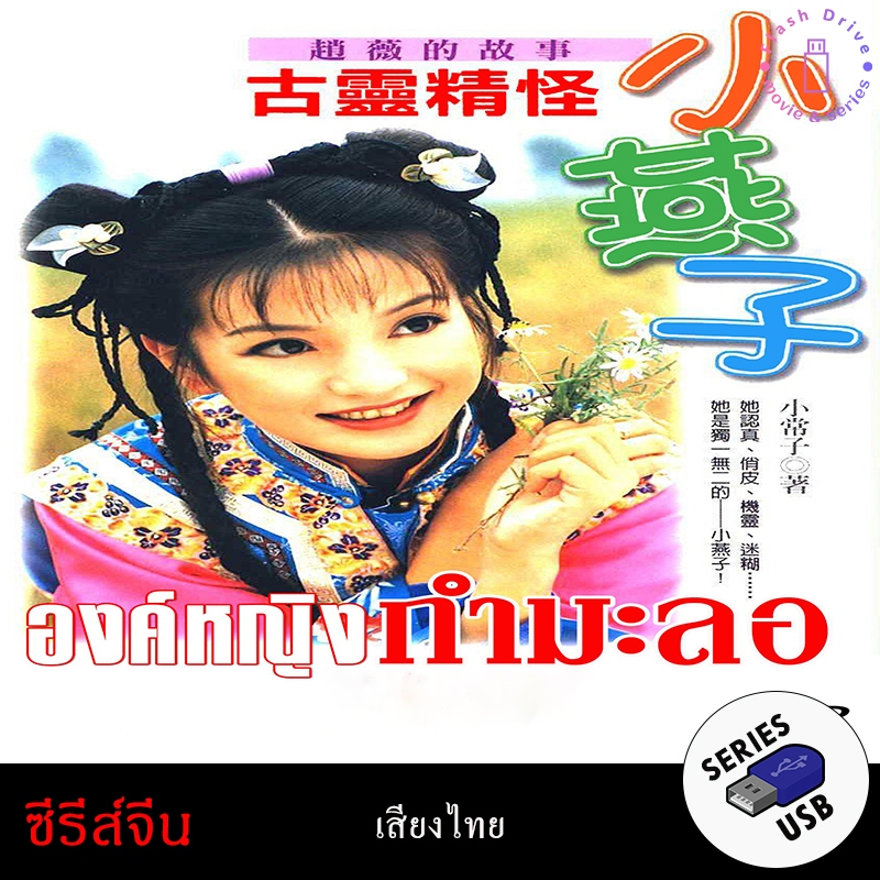 USB FlashDrive ซีรีส์จีน เรื่อง องค์หญิงกำมะลอ (พากย์ไทย)