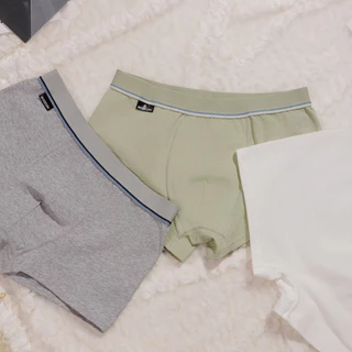 กางเกงในเด็กผู้ชาย เซ็ต3ตัว บ็อกเซอร์เด็กสีพื้น Boxer Boocon บ็อกเซอร์ขาสั้น เนื้อผ้านิ่มสวมใส่สบาย