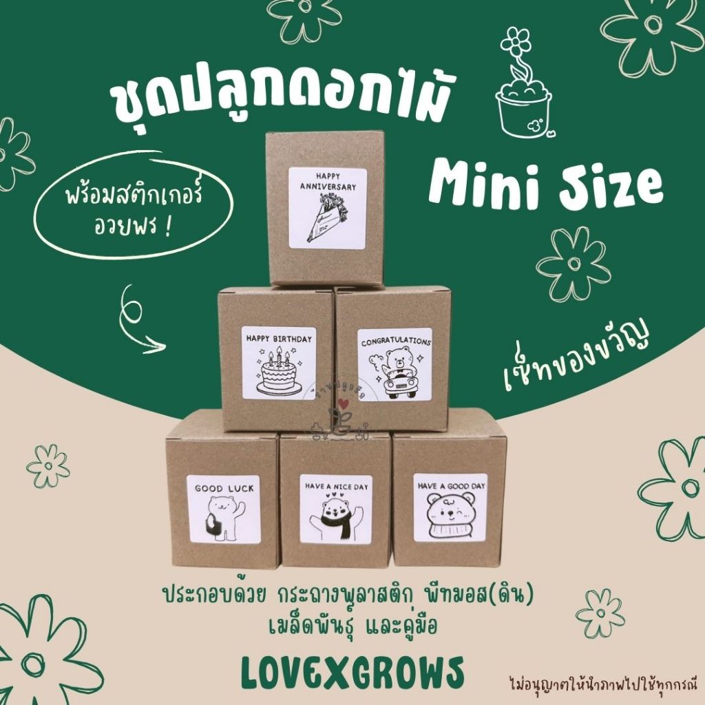 LXG : ชุดปลูกดอกไม้ เซ็ทของขวัญ ไซส์มินิ (Mini Size) พร้อมสติกเกอร์อวยพร ของขวัญวันเกิด ของชำร่วย ของขวัญปัจฉิม ปีใหม่