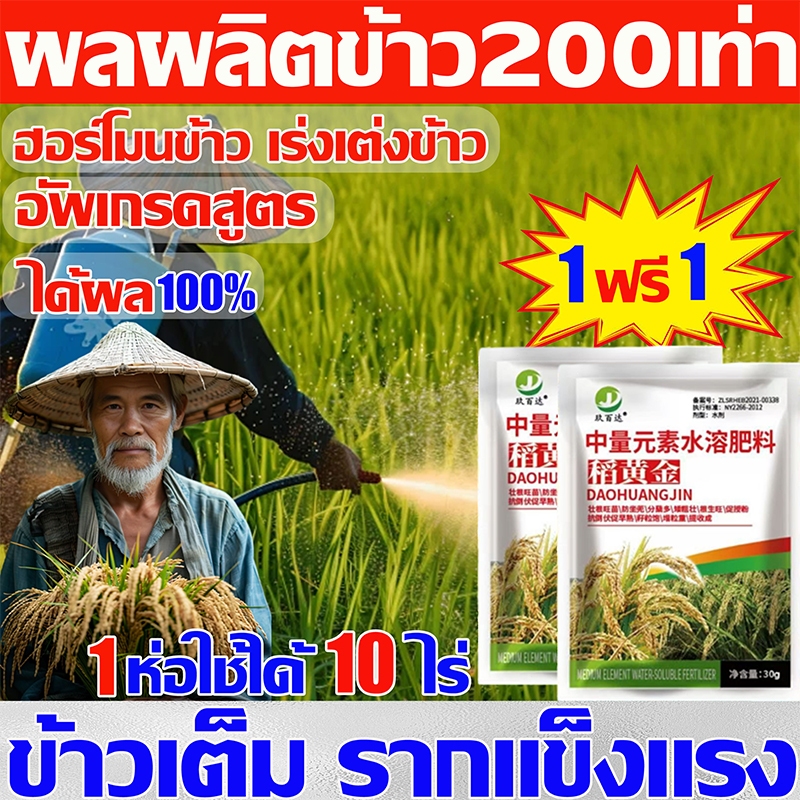 🌾 ฮอร์โมนพืช สำหรับข้าว 🌾ฮอร์โมนข้าว ปุ๋ยพิเศษสำหรับข้าว ผลผลิตเพิ่มขึ้น10เท่า อะมิโนพืช ลดการหลุดร่วง อวบทุกเม็ด