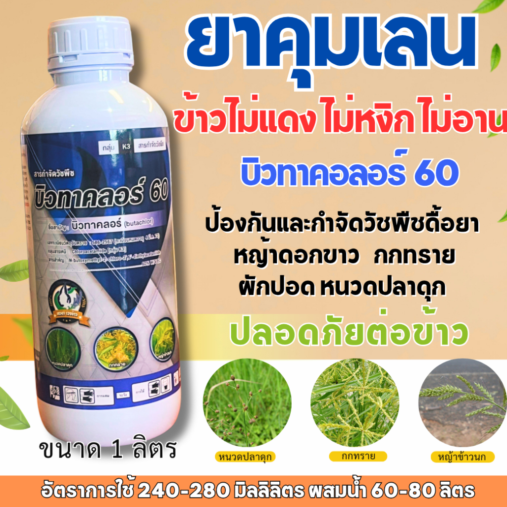บิวทาคลอร์ คุมเลน เทวดารวงข้าว 1 ลิตร บิวทาคลอร์ 60%  ในนาข้าว ข้าวไม่แดง ไม่หงิก ไม่งัน ขจัด หนวดปลาดุก กกทราย หญ้าข้าว
