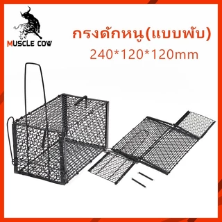 MUSCLE COW กรงดักหนูสปริง 2ตัวโครงหนา กรงดักหนู กรงดักหนูแบบมีโครง กรงดักหนูสปริงคู่ กรงดักหนูนา กรงดักหนูเล็ก