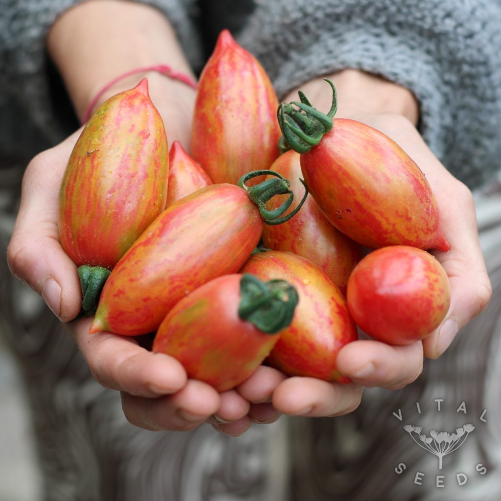 รูปภาพ 8