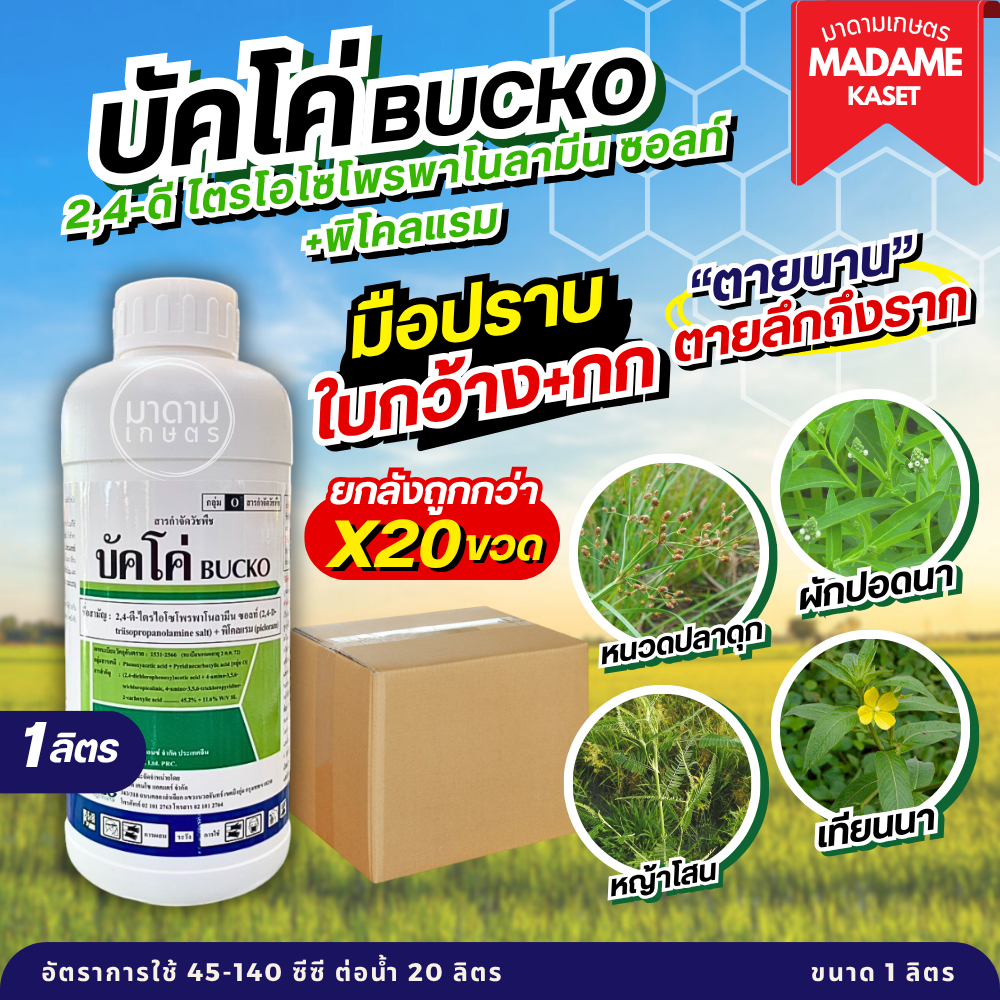 ยกลังx20ขวด**จำกัดออเดอร์ละ 1 ลัง** | บัคโค่ (2,4-ดี ไตรโอโซโพรพาโนลามีน ซอลท์ + พิโคลแรม) ขนาด 1 ลิตร เก่งวัชพืชใบกว้าง