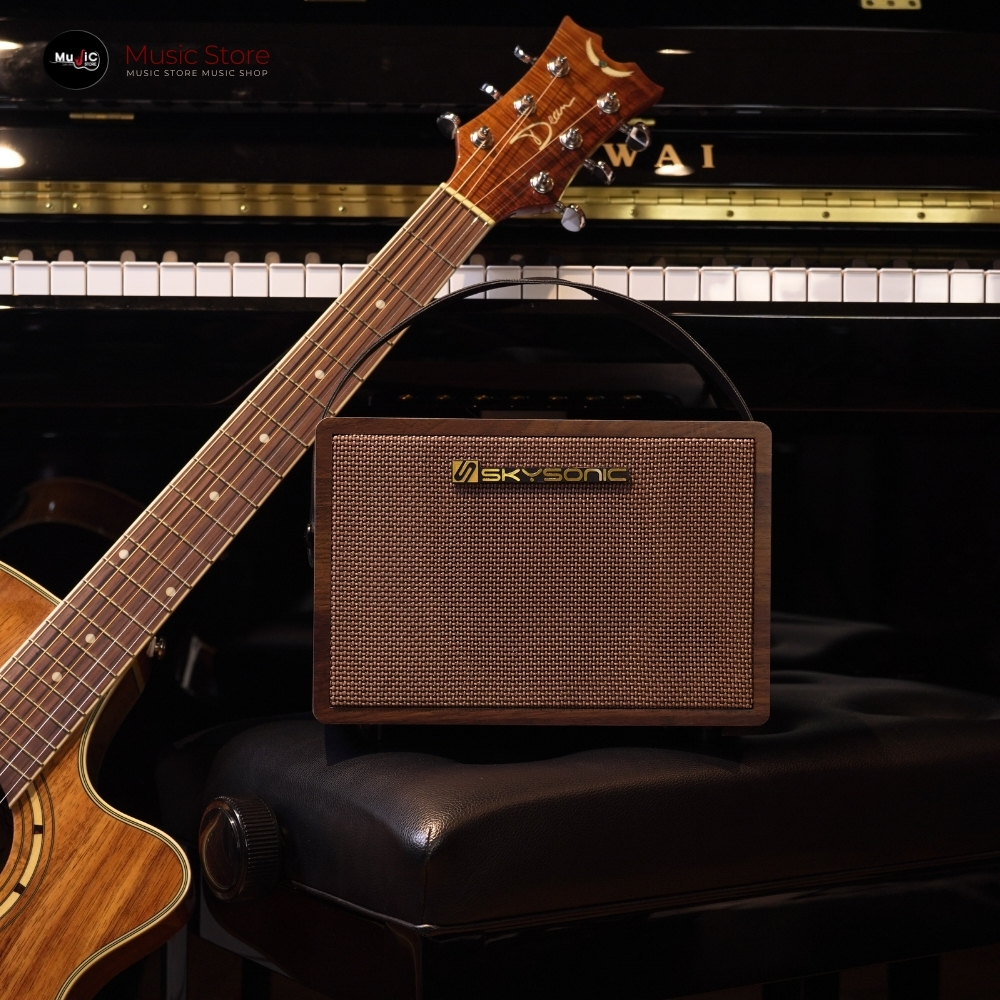 แอมป์อคูสติก Skysonic SC-25 Pro Mini Amplifier