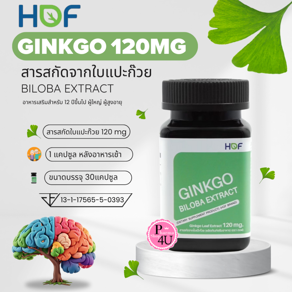 Hof Ginkgo สารสกัดใบแป๊ะก๊วย 120mg 30แคปซูล Y-GInk วาย กิง Hof Pharmahof